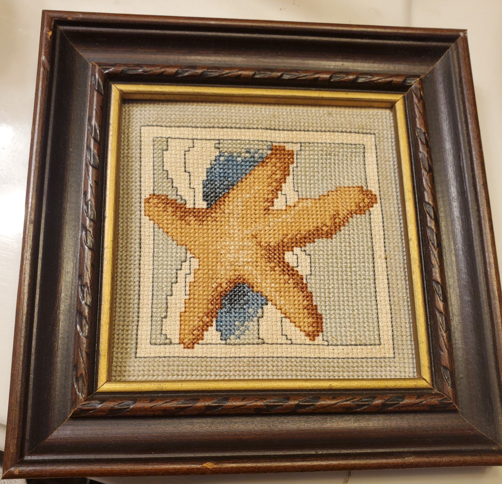 Starfish Picture
