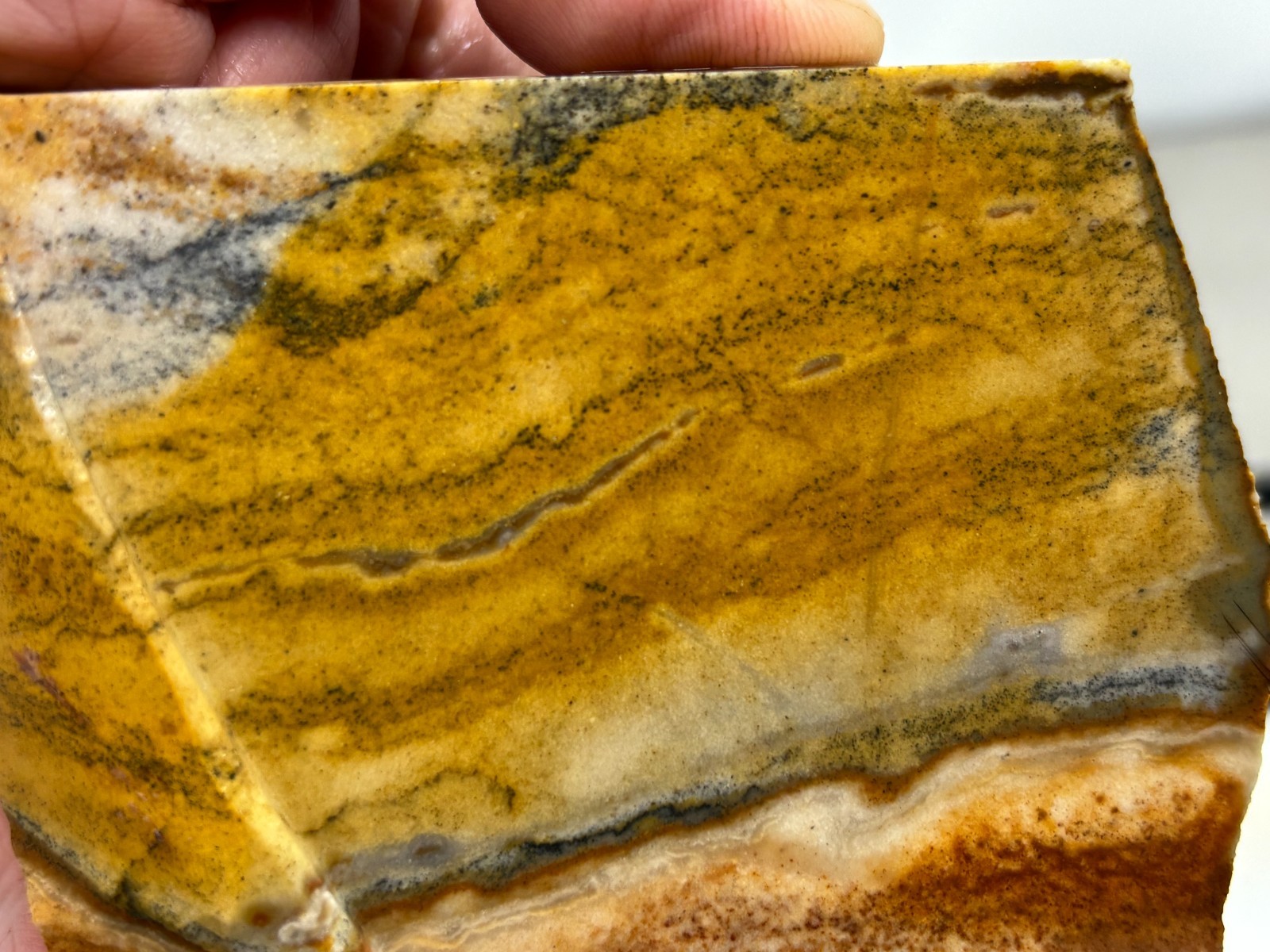 Disaster Peak Picture Jasper Slab Cabbing Lapidary Collecting Combo Ship Avail