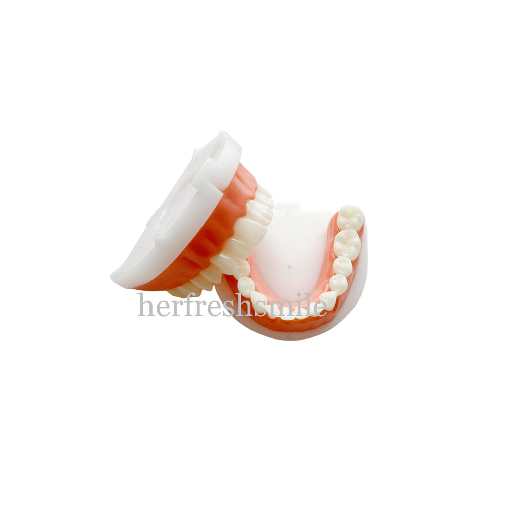 2Set Dental Composite Veneer Template Model Practise Veneers Dentist Teaching