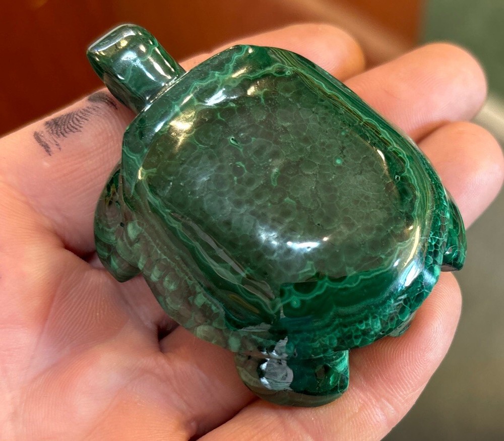 2” Malachite Turtle