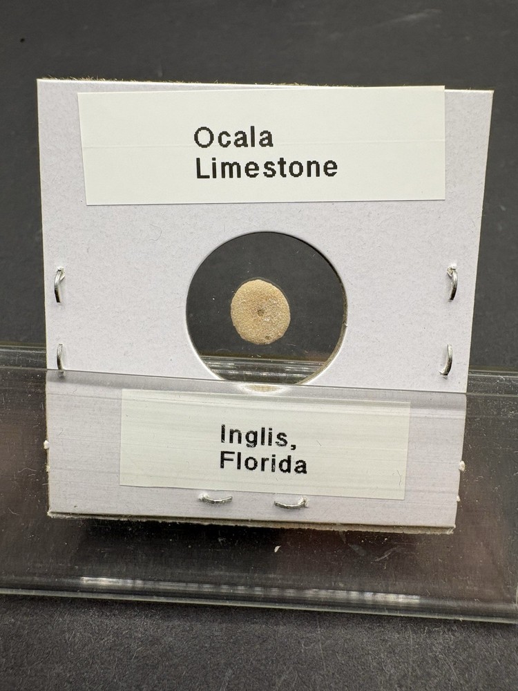 (12)- Mixed Location Micro Fossils- Miocene, Oligocene, Eocene, Cretaceous