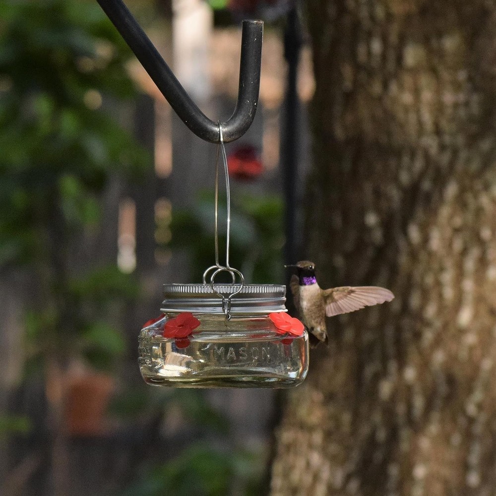 Mason Jar Hummingbird Dish Feeder, Clear