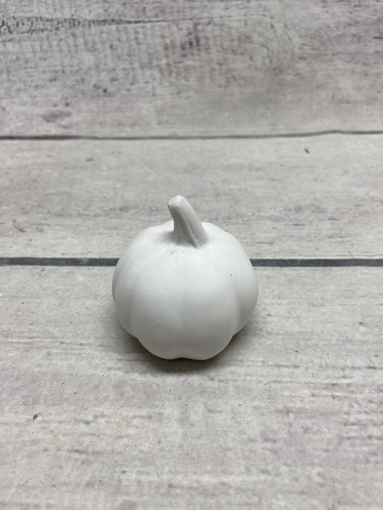 Ceramic Bisque Pumpkin Paint Ghost Halloween Fall Decor Set