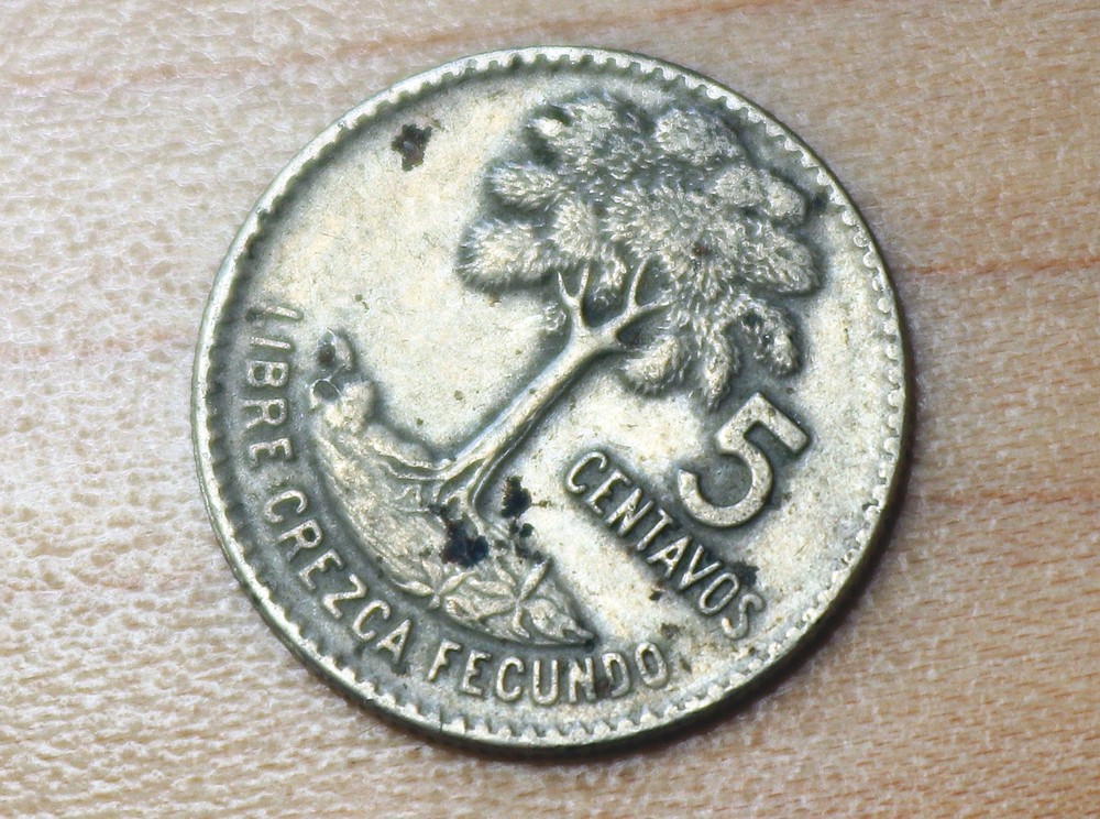 1969 Guatemala 5 Centavos Kapok Tree