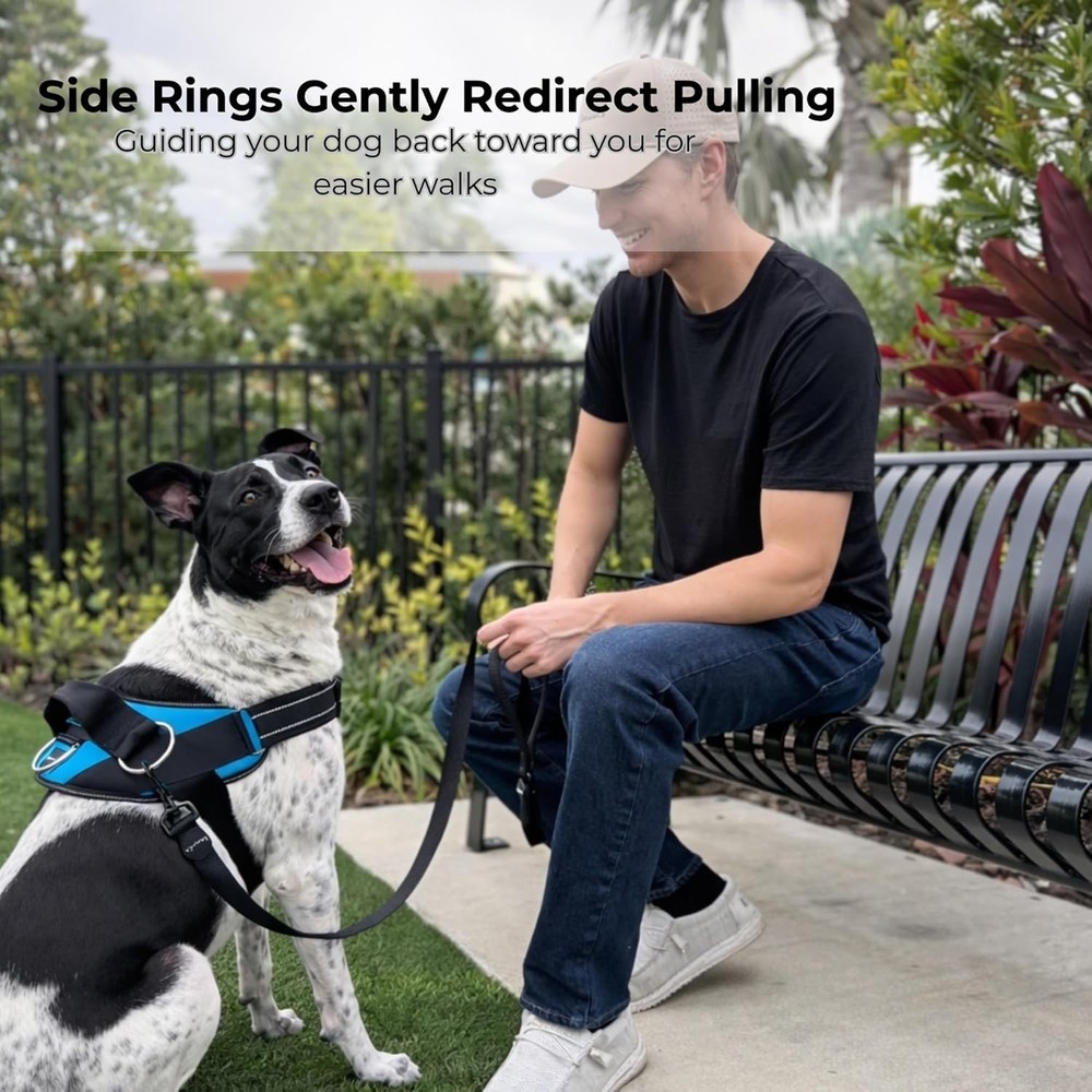 No-Pull Harness for Dogs - Adjustable, Reflective, Medium, Pacific Blue