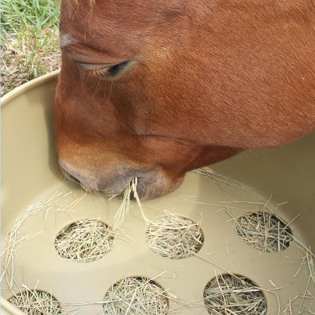 Porta-Grazer Free Standing Corner Feeder, Slow Hay Horse Feeder