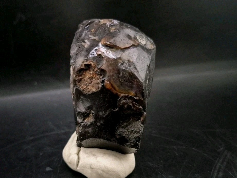 Real Fossil Dinosaur Egg Opalized