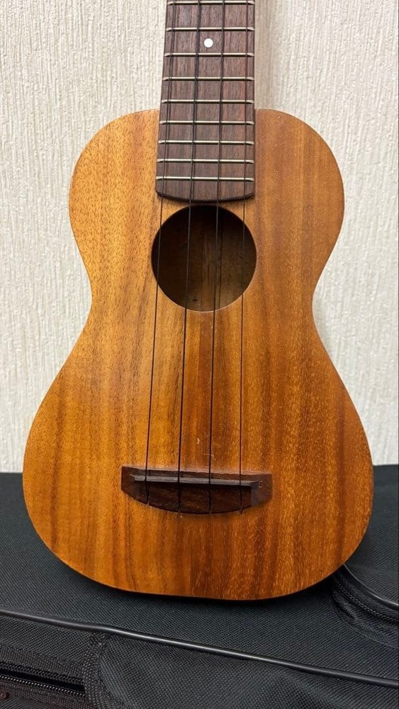 Mana ukulele gear peg pickup with hard case
