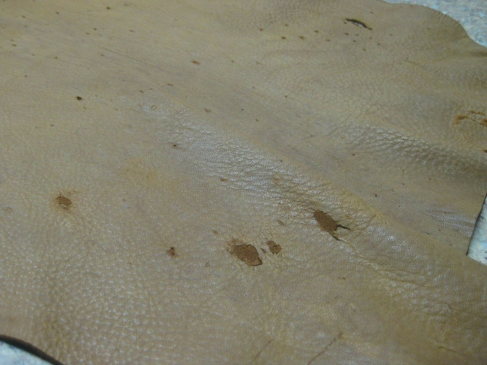 Top Grain Deer Leather #0012056 Row 82