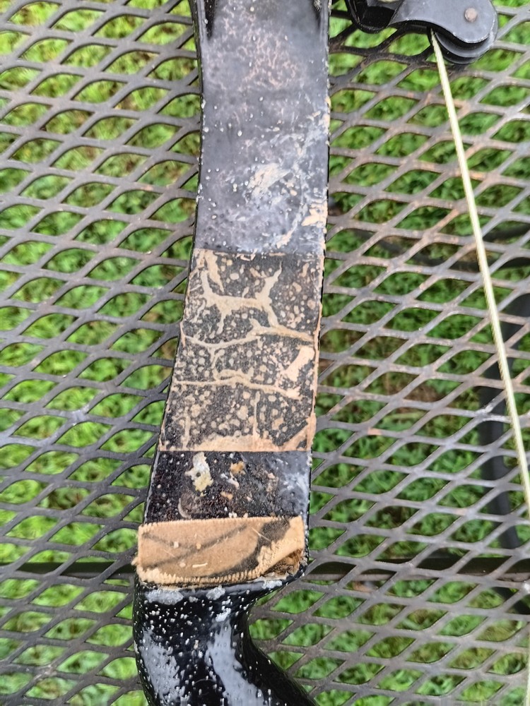 vintage bear whitetail hunter compound bow