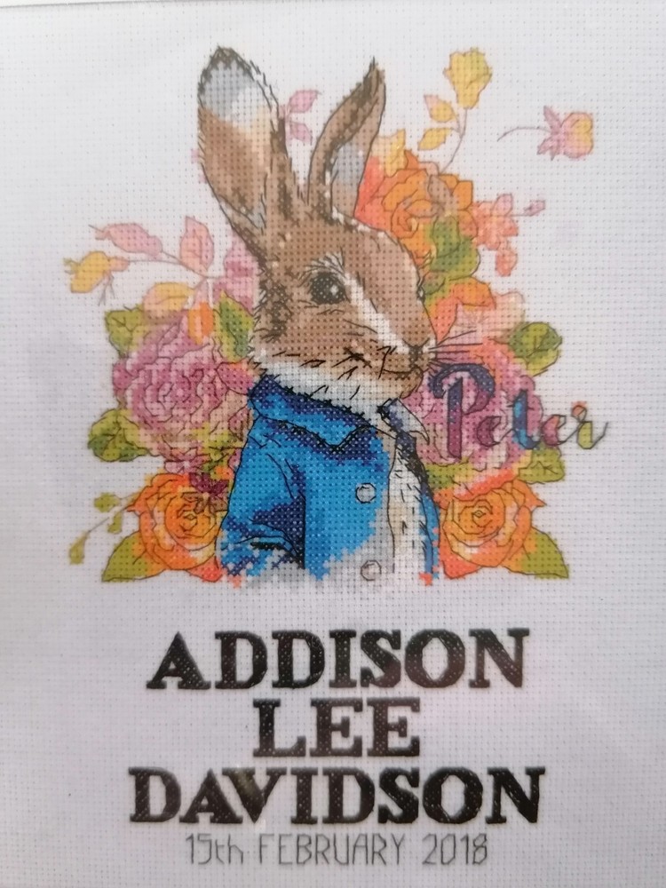 PETER RABBIT CROSS STITCH SAMPLER KIT, Fits 8x10" frame, Includes hoop etc.