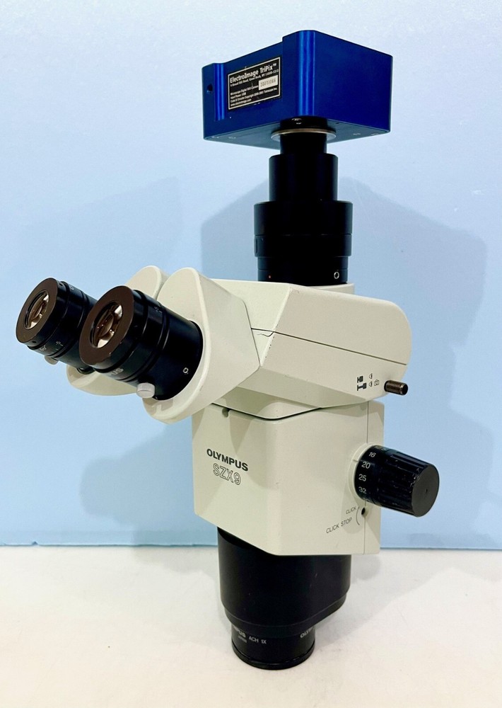 OLYMPUS SZX9 Microscope, DHL Ship World Wide