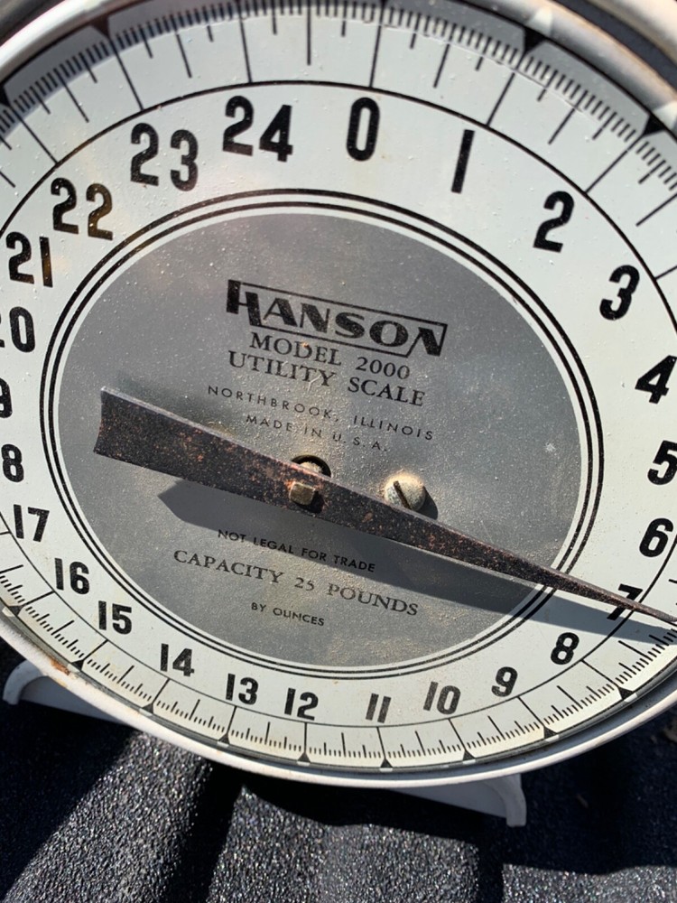 Vintage Hanson Model 2000 Utility Scale Great Look!