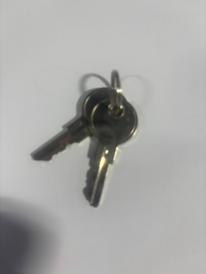 Harmar Outside Lift keys (pair)