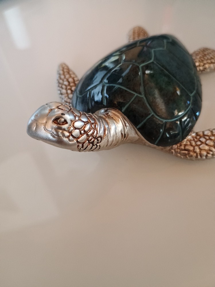 Blue And Silver Sea Turtle