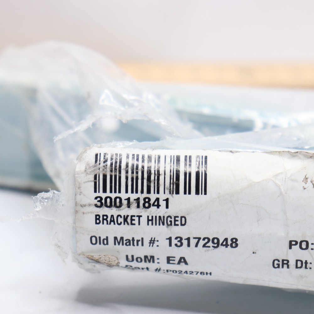 Bracket Hinge 30011841