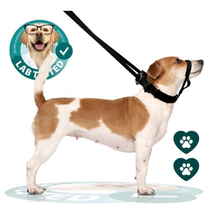 Sporn Head Control Halter Tough Pulling Dog Collar Training - MEDIUM