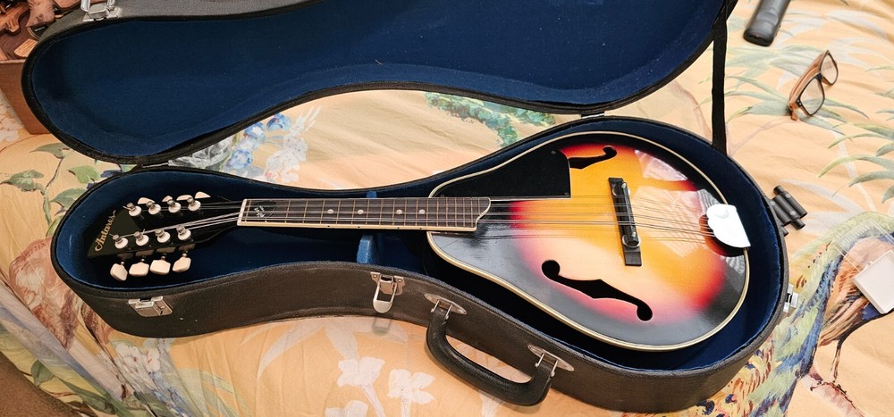 Antares Mandolin AMD 25