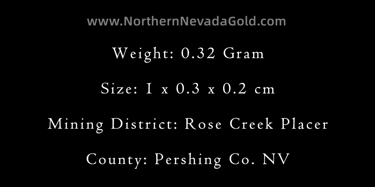 Gold nugget Small nugget in box 0.32 Gram Rose Creek Placer Pershing Co. NV