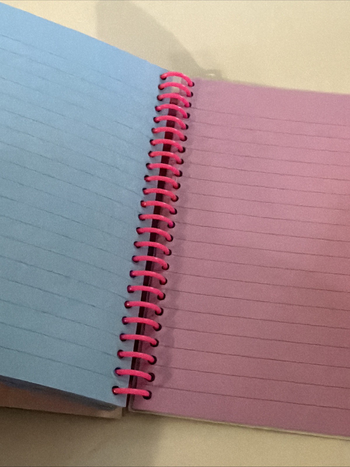 Lisa Frank Dancing 90’s Dolphins Spiral Button Snap Notebook