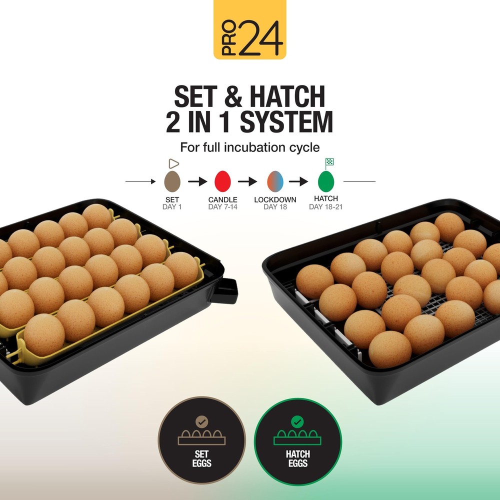 Hatching Time Pro24 Automatic Egg Incubator for Hatching Eggs – Digital Ch