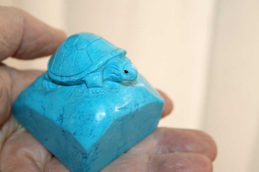 Turtle on a Rock