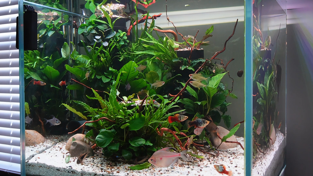 Modular Planter for Planted Tanks | TRIO Modular System (3 Tier Unit)