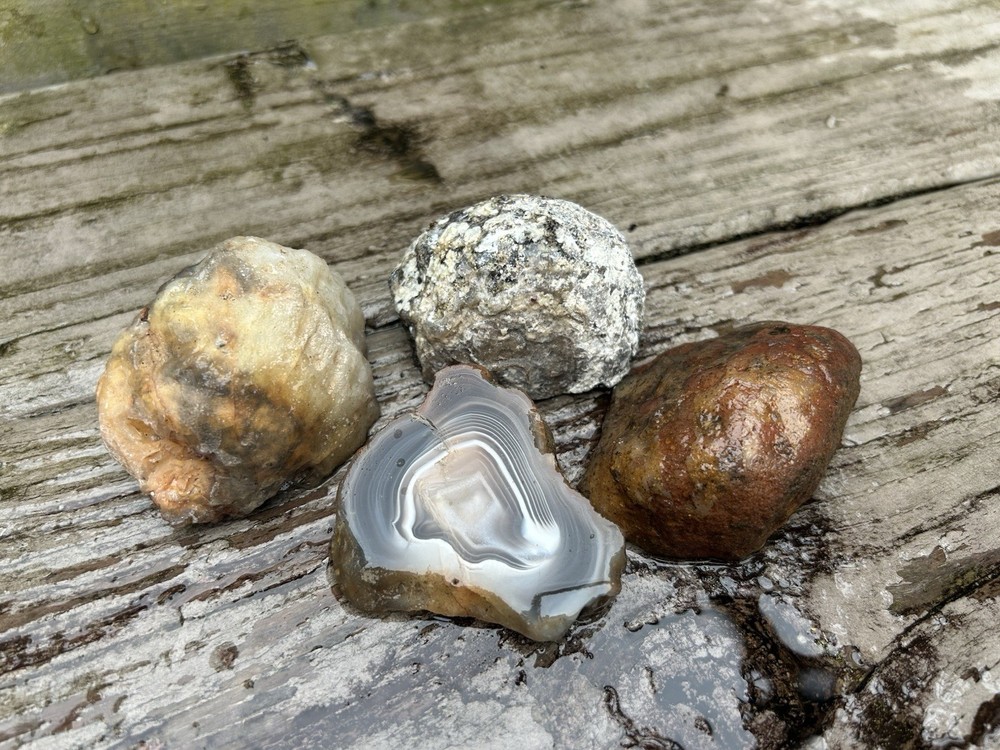 Rough cut Botswana Agate And Other Agates Lot