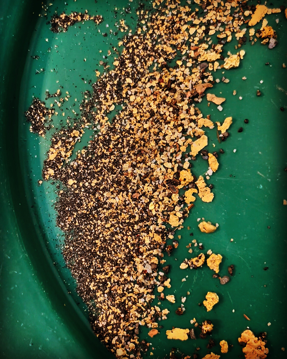 GOLD Paydirt Guaranteed Unsearched Rich with black sand + Added Gold concentrate