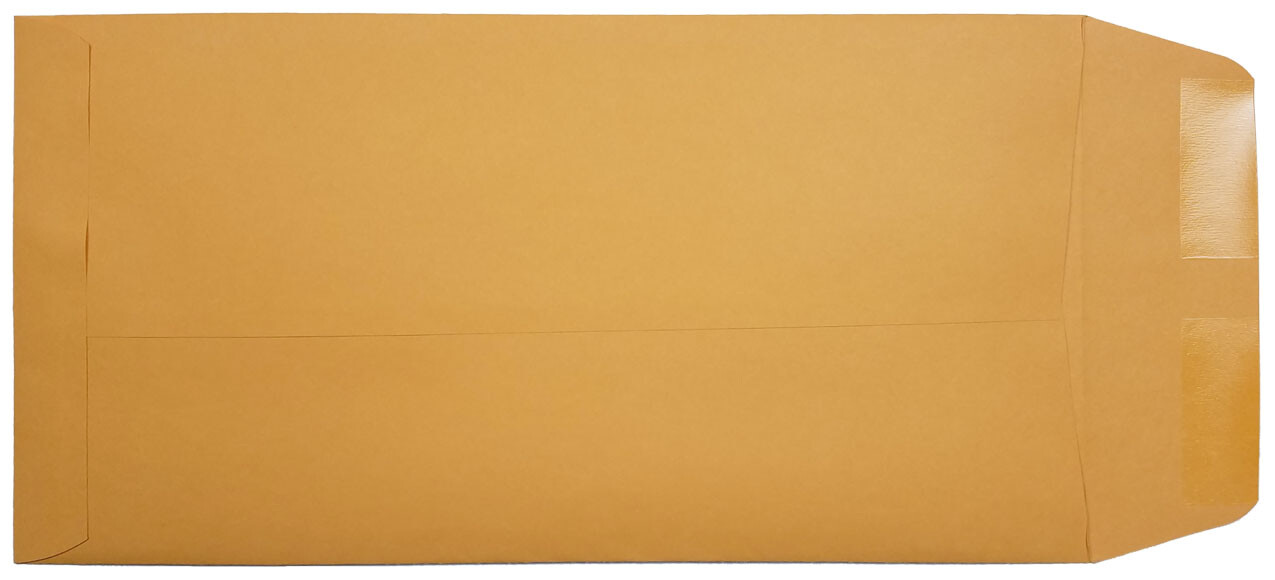 License Plate Envelopes - Blank, Moist Seal, Brown Kraft (Package of 100)