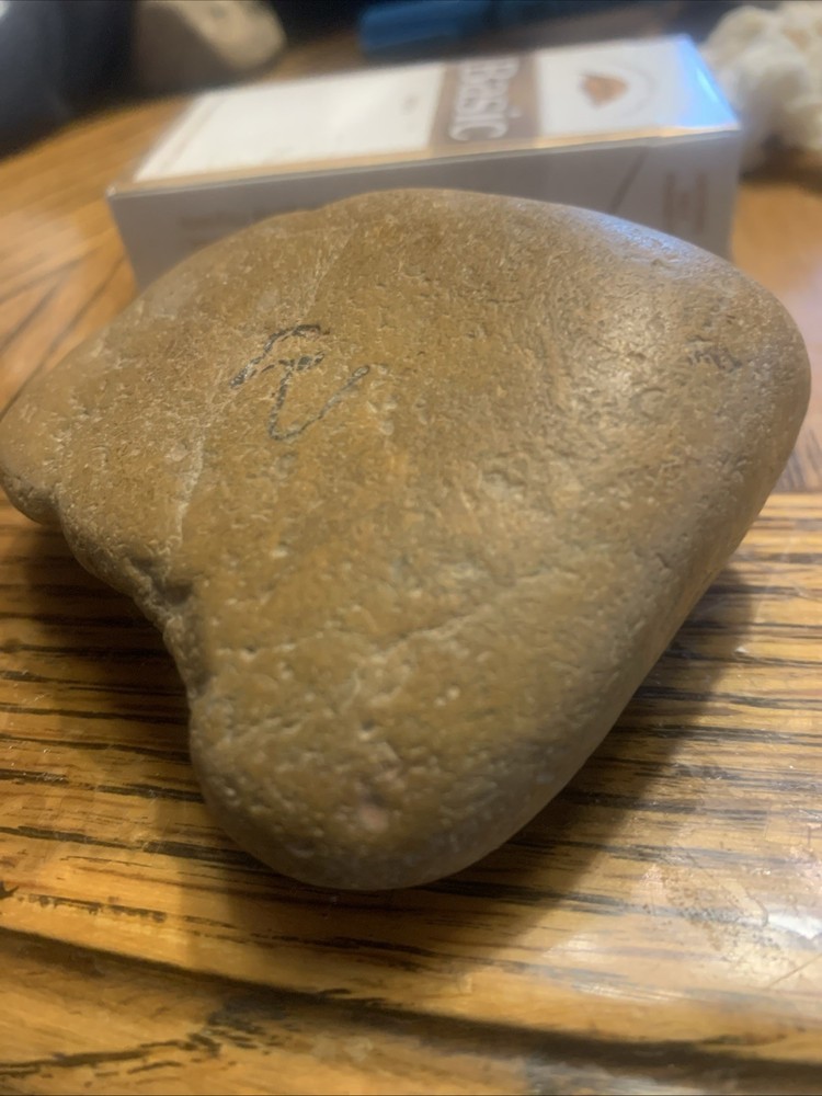 Fossils