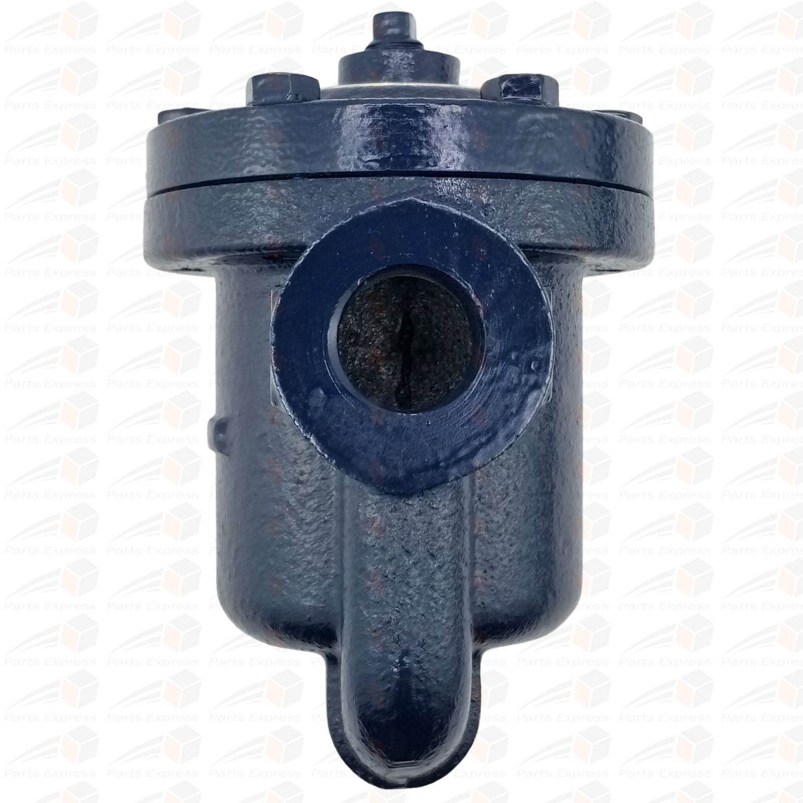 3/4" DAVID™ Inverted Bucket Steam Trap w/Built-In Strainer & Drain (Max 125 psi)