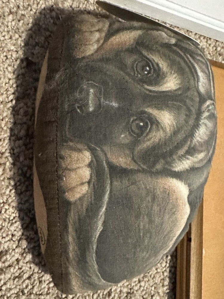 German Shepherds Lot