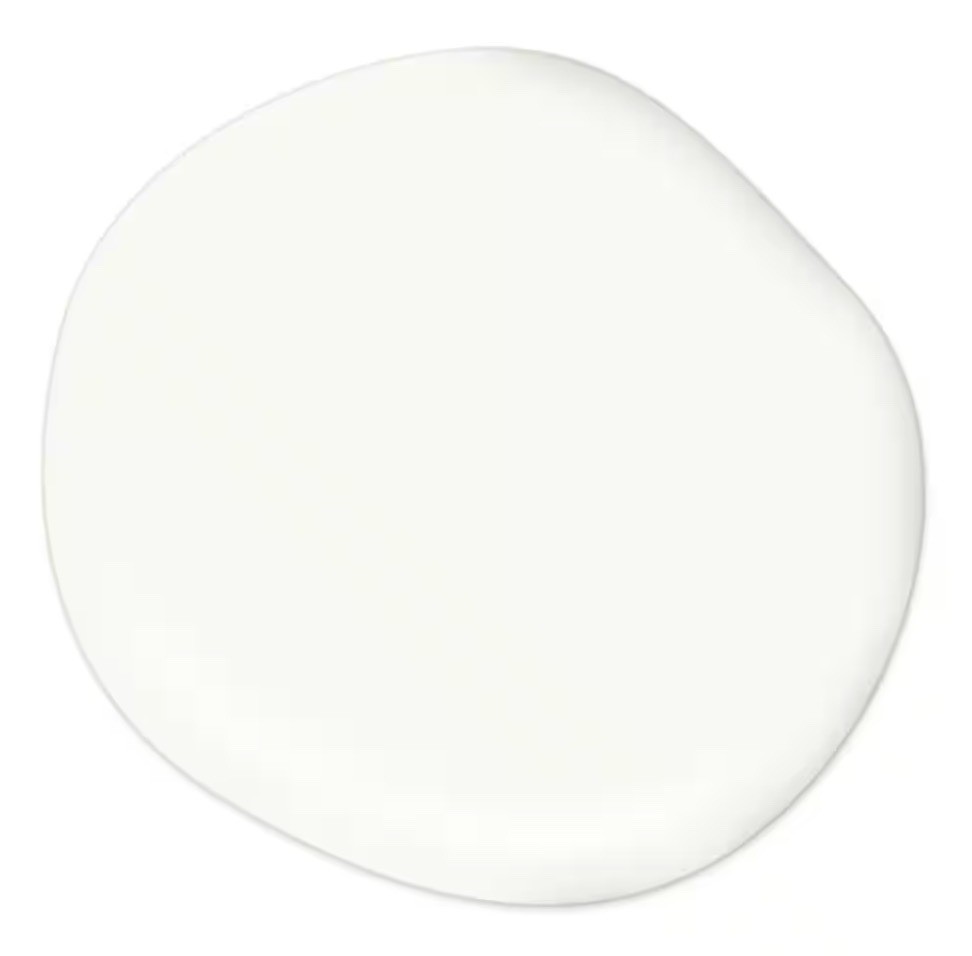15 CANS White Paint & Primer