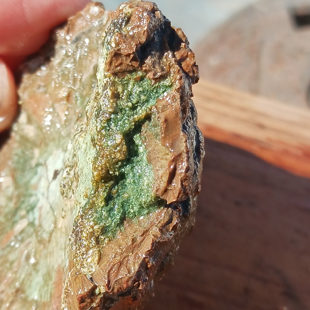 Quartz Lapidary Chalcedony Mud Fossil Jasper Rough Specimen