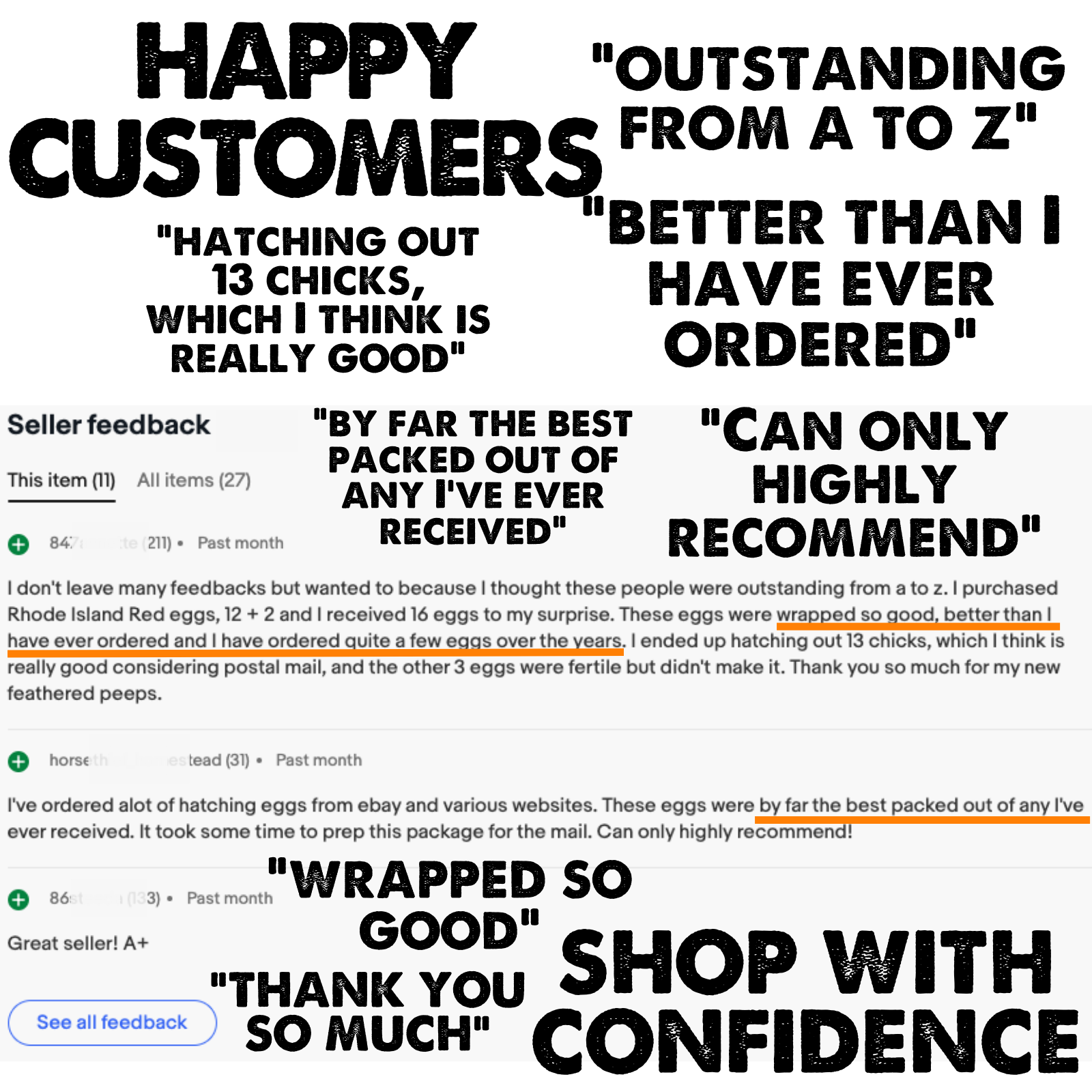 6+/12+/42 Rhode Island Red Hatching Eggs: Fresh, Fertile, Unmixed, Free Range