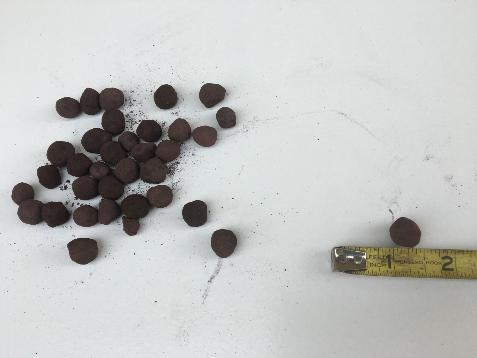 Taconite Iron Ore Pellets from Minnesota Iron Range 5 Pounds