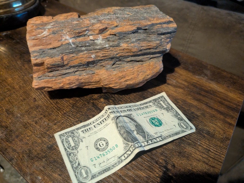 Petrified Wood