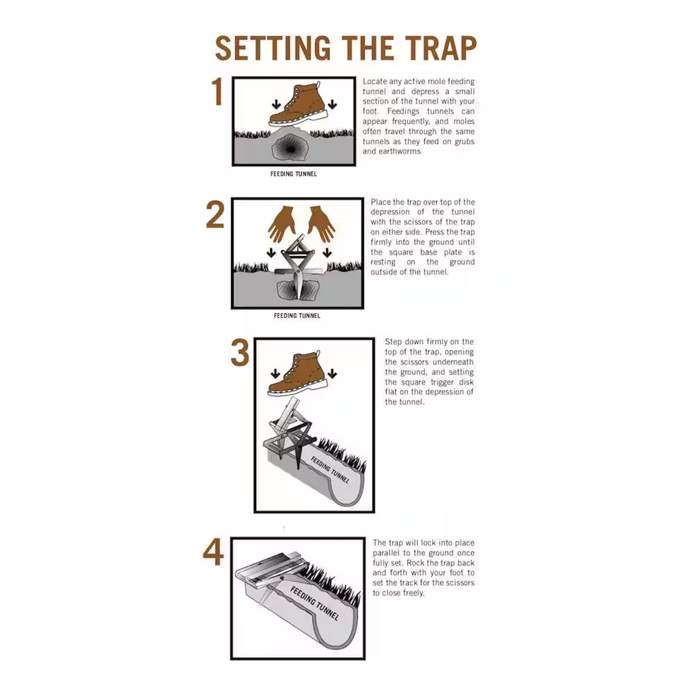 Mole Trap