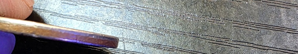 ​2010 Native American Dollar - MISSING EDGE LETTERING Error