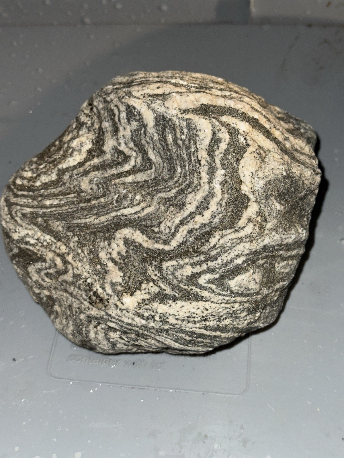 Rocks For Sale EXCELLENT MOJAVE GNEISS