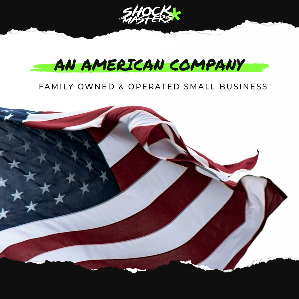 Front Pair Complete Struts & Coil Spring Assemblies for 1999-2003 Lexus RX300