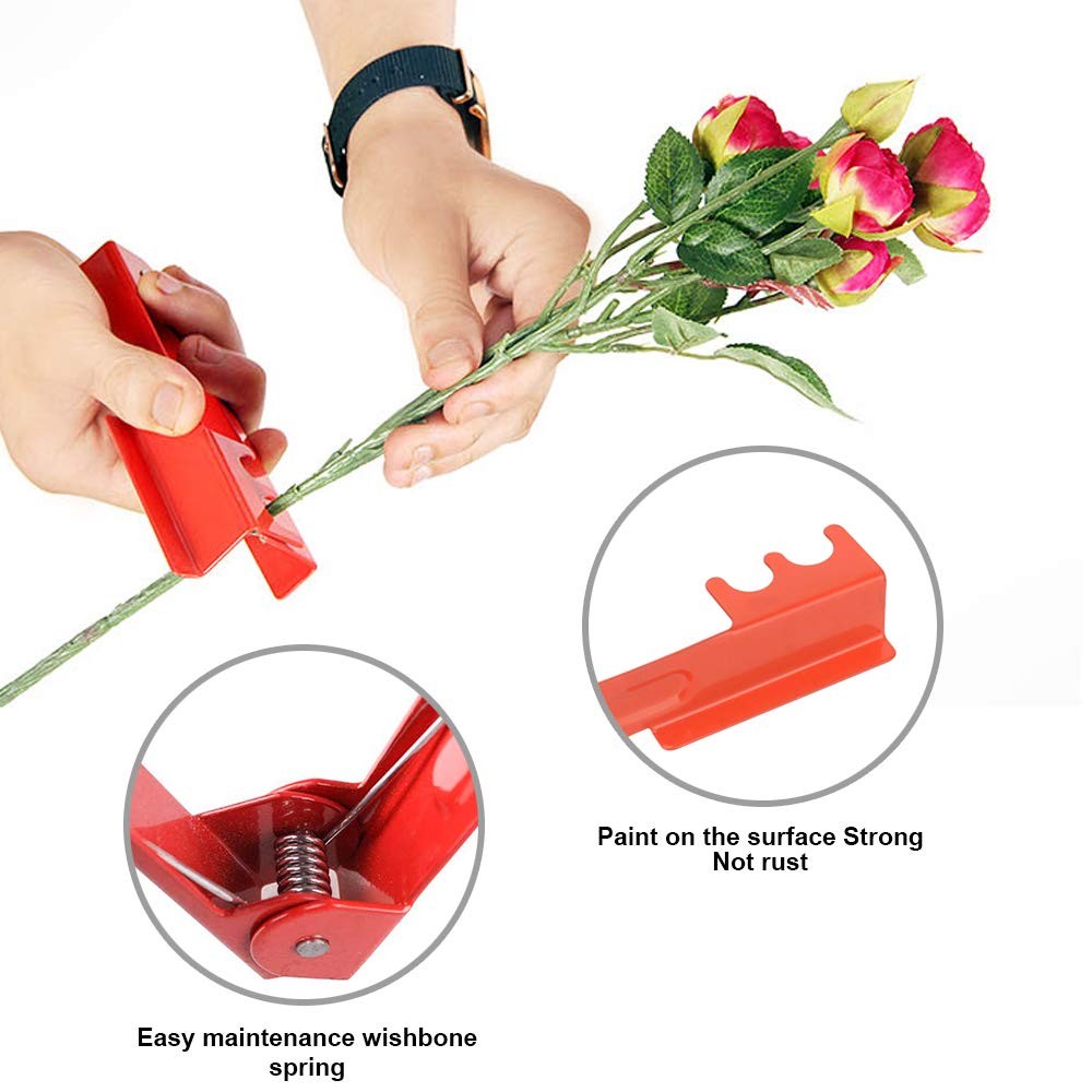 4PCS Garden Pruning Shears Scissors Kit, Rose Thorn Remover, Tree Pruner Hand...