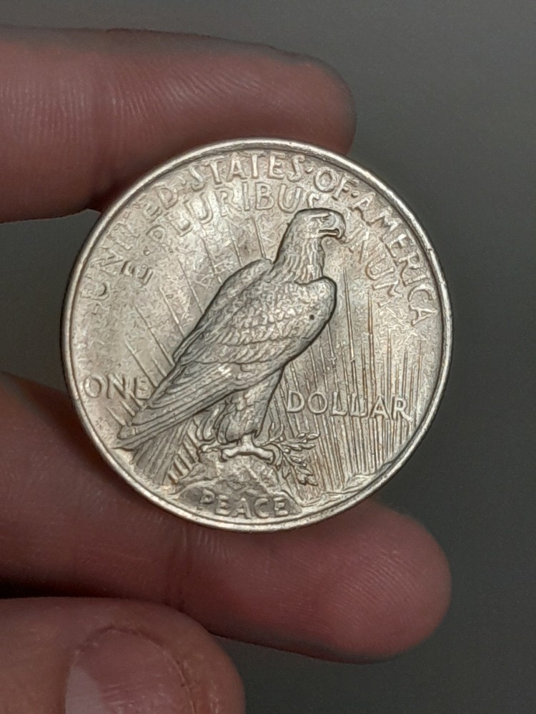 1923- P Peace Silver Dollar