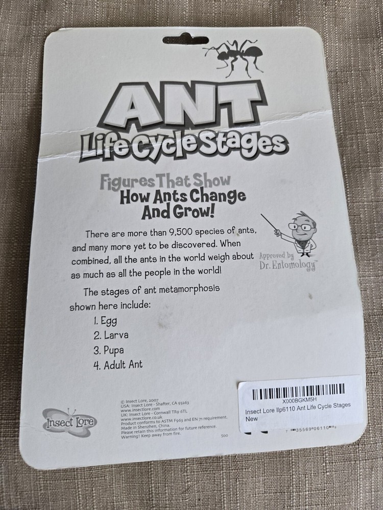 Science - Ant Life Cycle