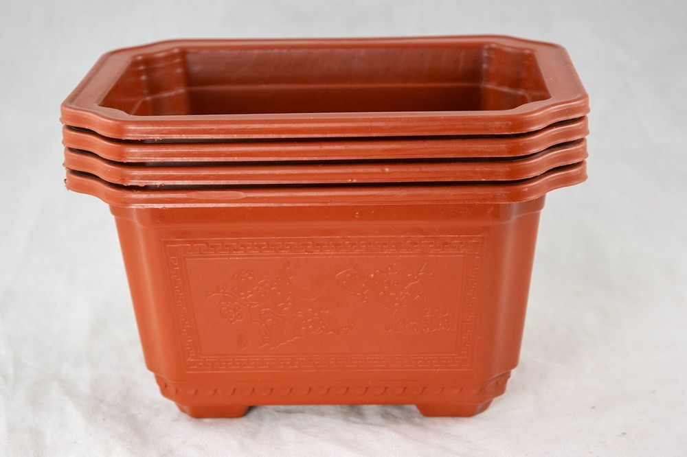 Rectangular Plastic Cactus & Succulent, Bonsai Training Tall Pot 7.25" to 17.5"