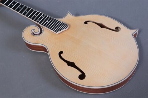 SOLID KENTUCKY STYLE LUITHIER DO IT YOURSELF ACOUSTIC F-MODEL MANDOLIN