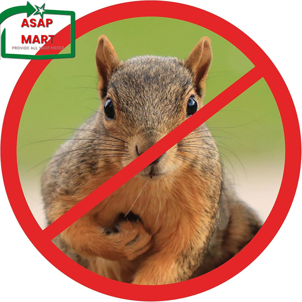 Scram, Squirrel by Slinky, Squirrel-Proof Bird Feeder Accessory That Guards Bird