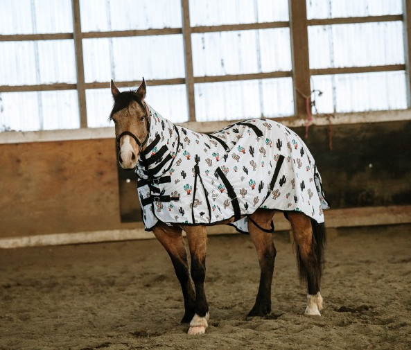 Schulz Equine Fly Sheets