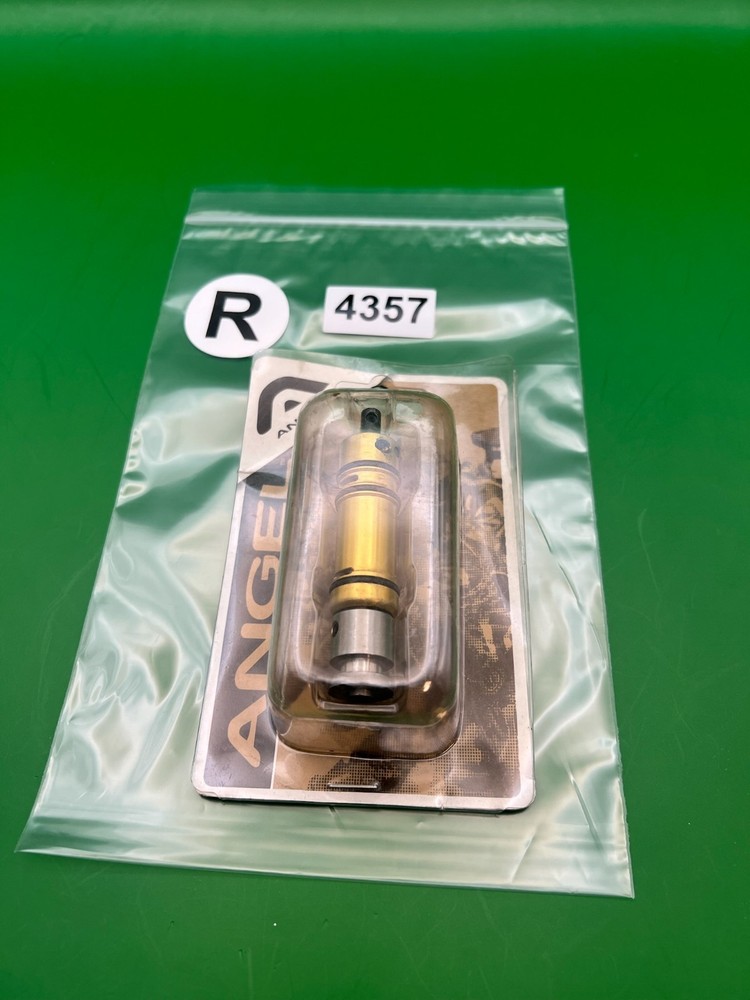 Angel A1 Ram Kit NOS